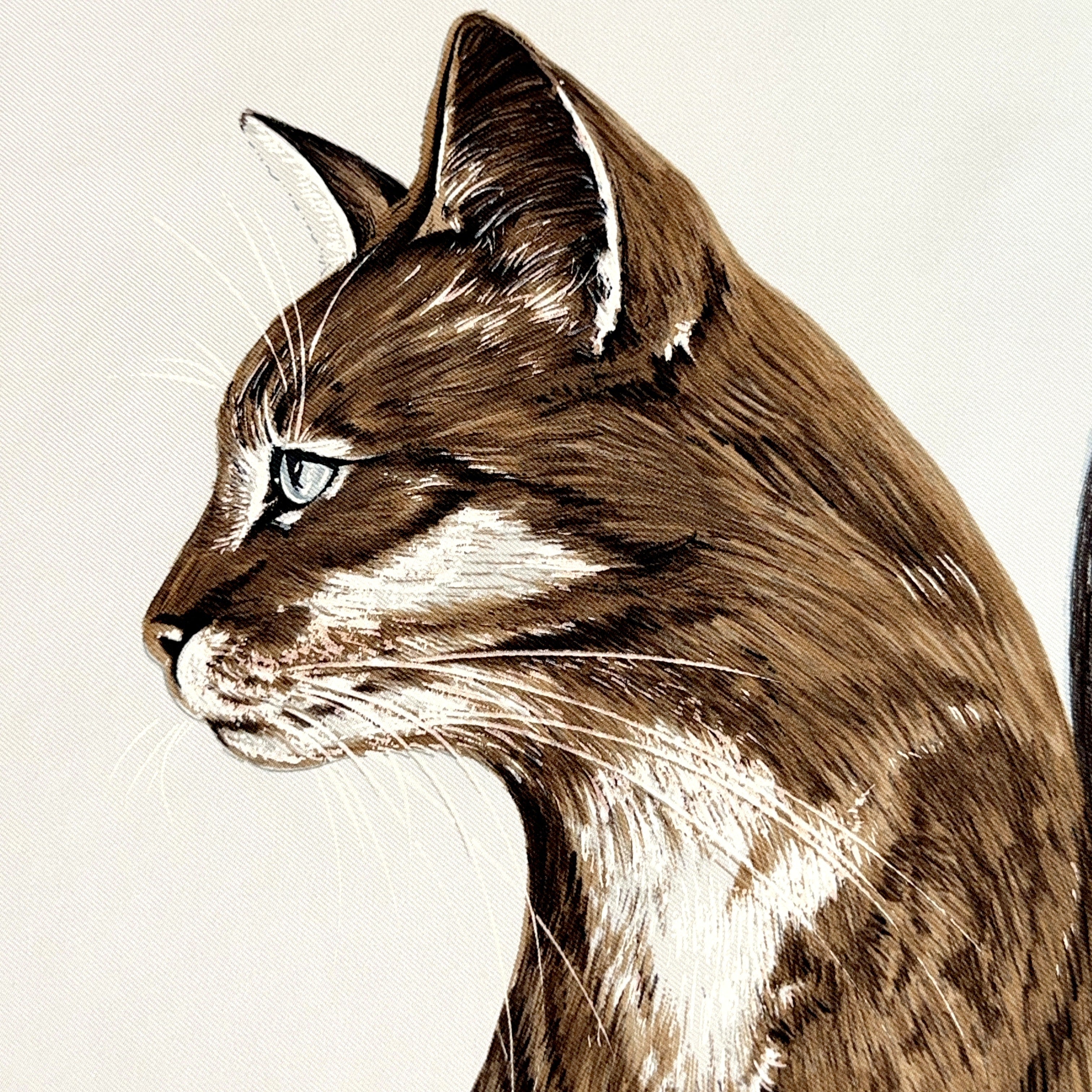Carré Hermès Les Chats de Daphné Duchesne, 90 cm soie, gros plan du chat tigré brun abyssin