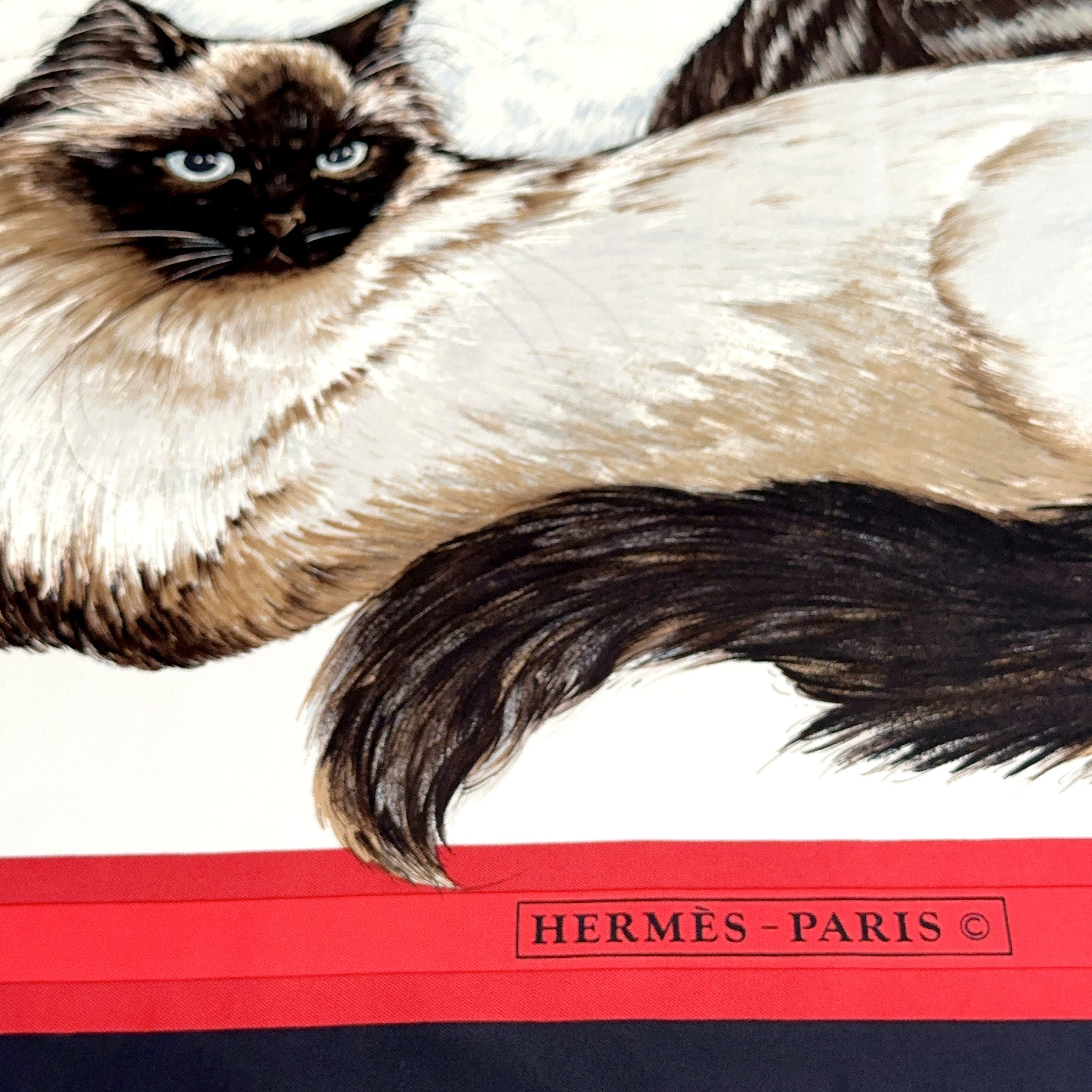 Carré Hermès Les Chats de Daphné Duchesne, 90 cm soie, signature Hermès-Paris sur cartouche rouge