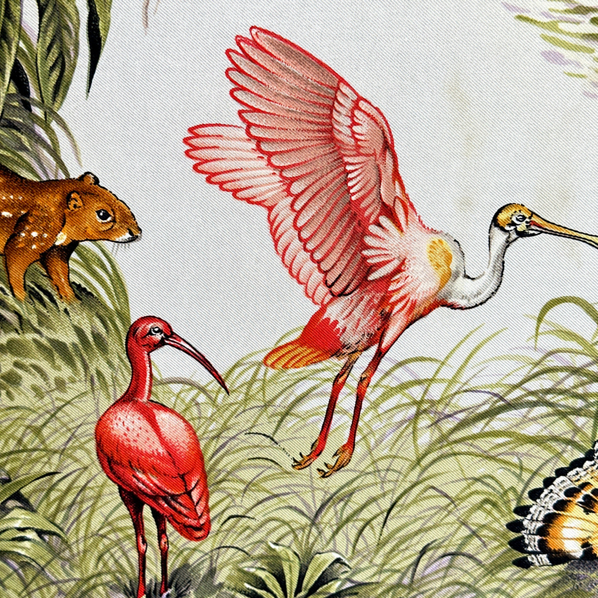 Carré Hermès Équateur de Robert Dallet, 90 cm en soie : détail de la spatule rosée et de l'ibis rouge
