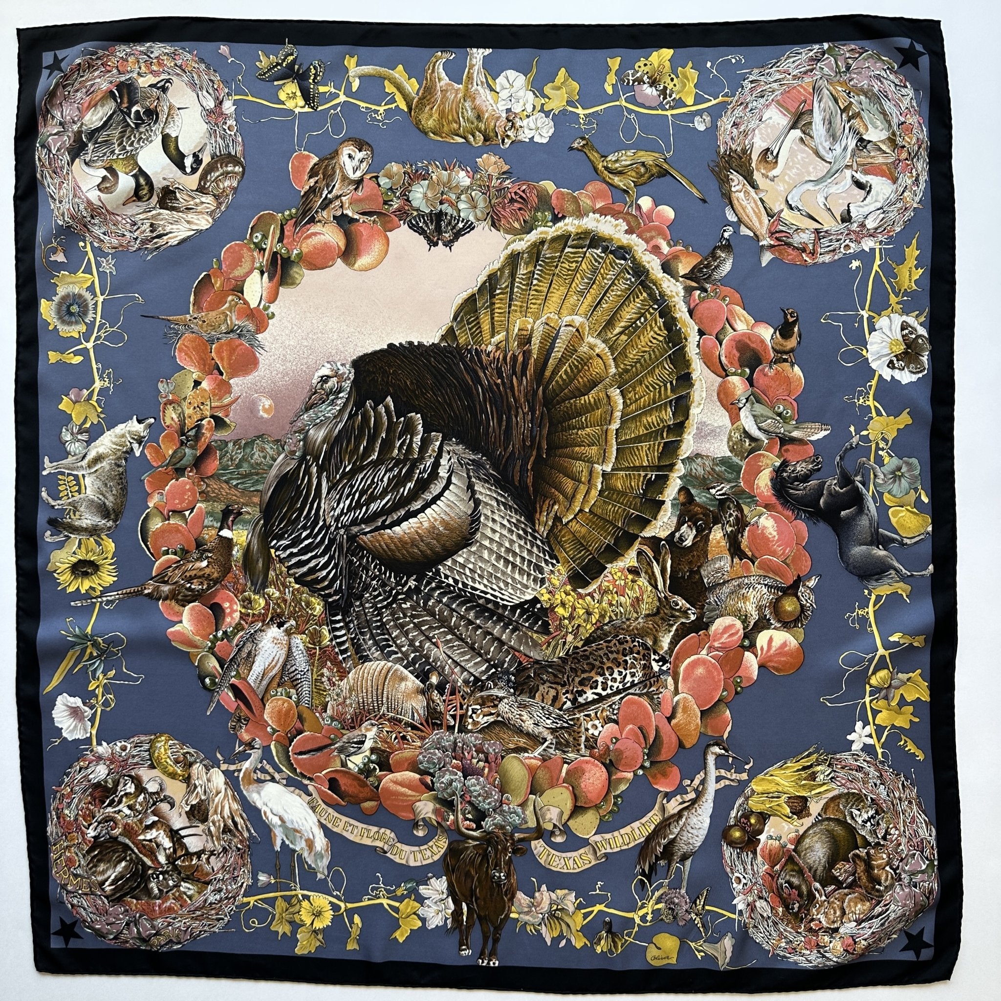 Faune et flore du texas entourage noir