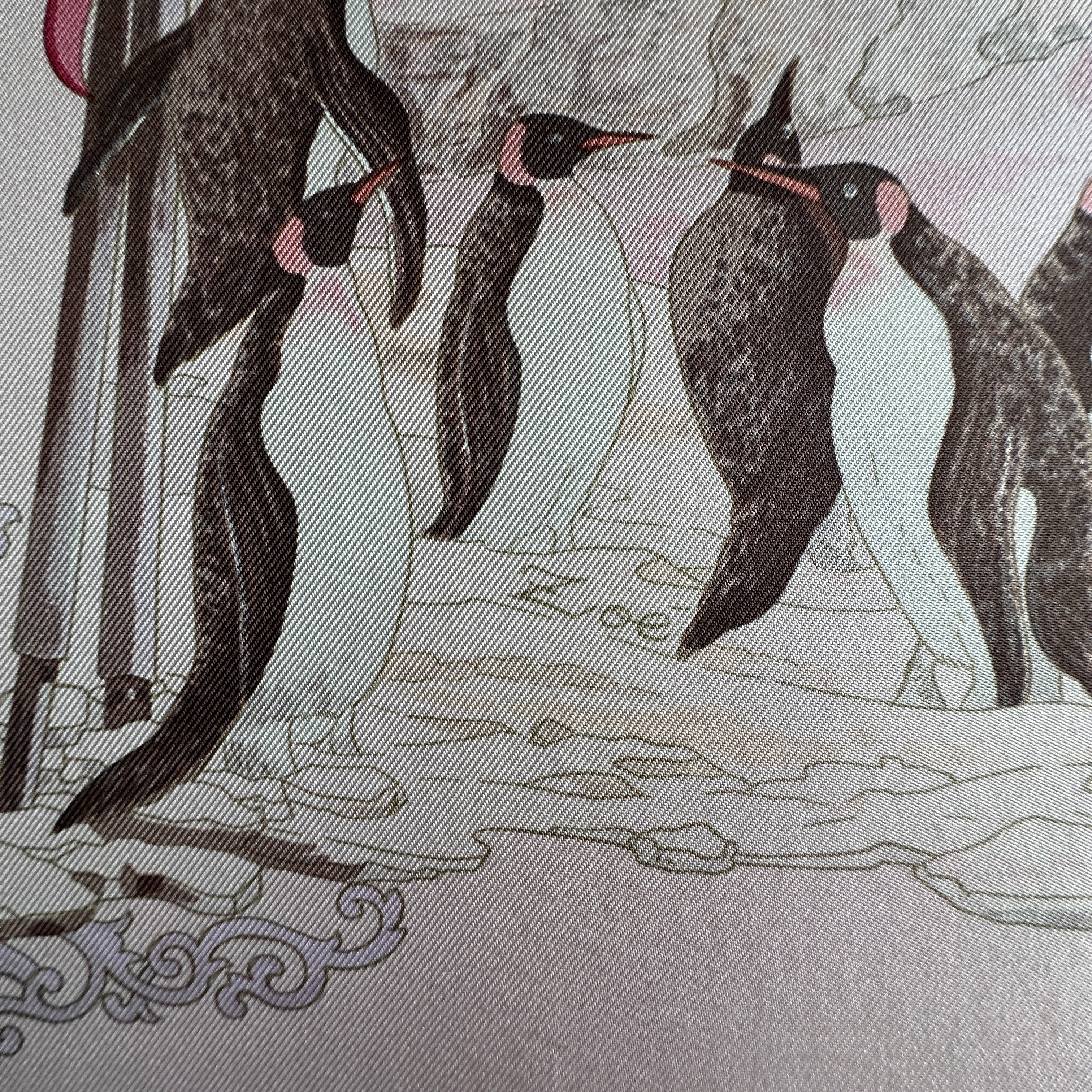 Gros plan artistique sur un groupe de Manchots Empereurs au plumage noir et blanc.