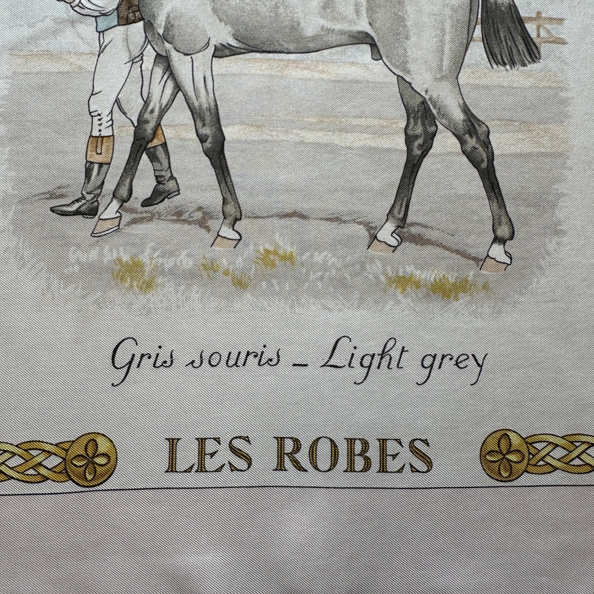 zoom sur un dessin de robe de cheval couleur gris souris