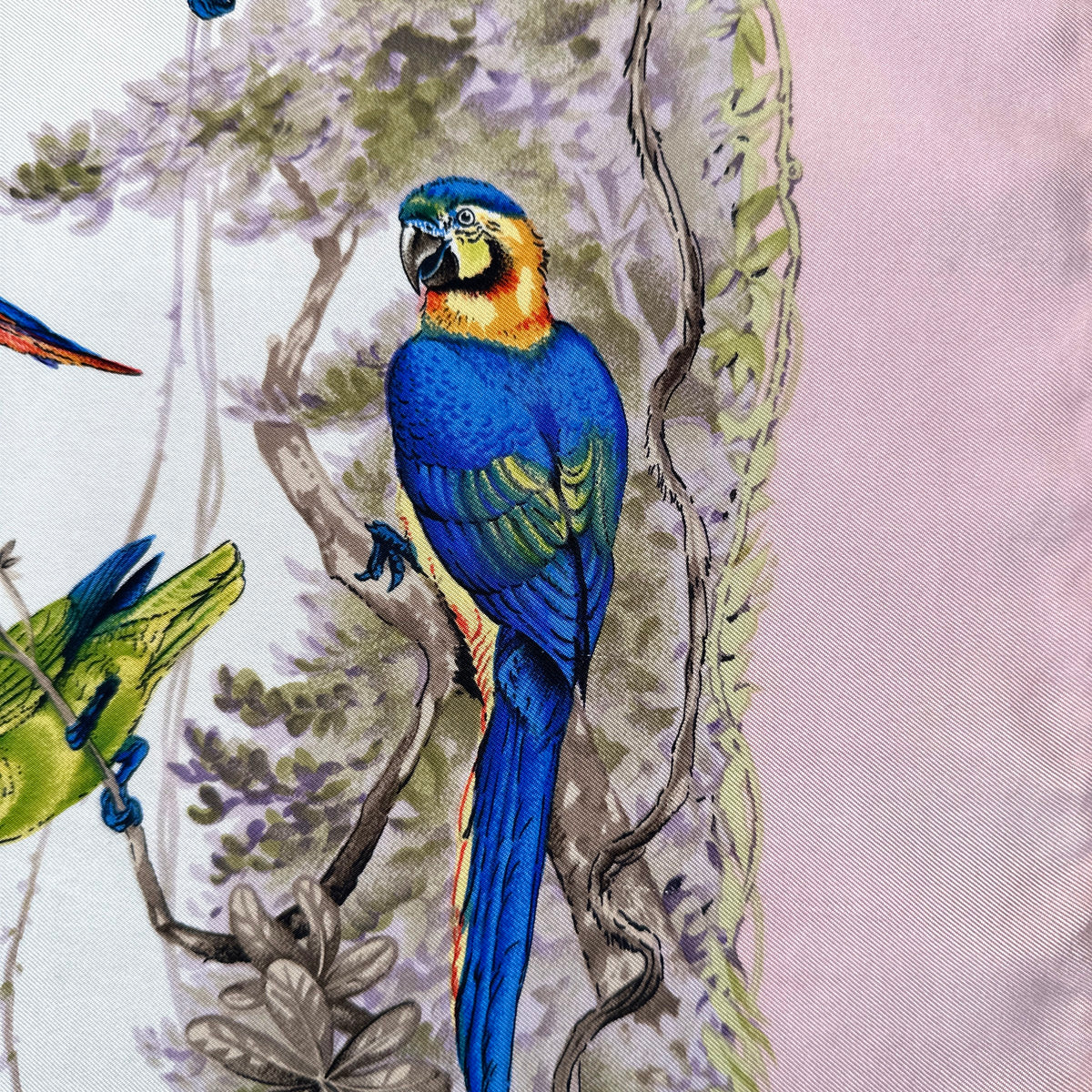 Carré Hermès Équateur de Robert Dallet, 90 cm en soie : détail de l'ara bleu et jaune sur sa branche