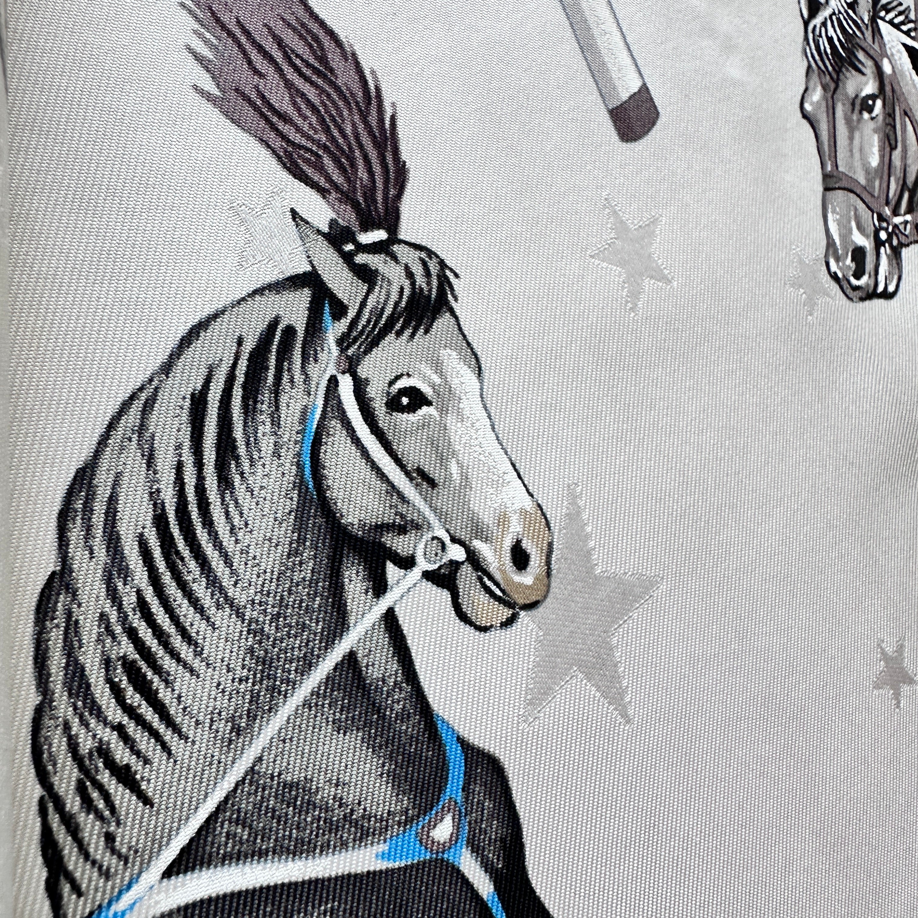 Gros plan sur le harnachement de spectacle et le plumet du cheval.